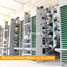 Tianrui Hot Selling Automatic Chicken Egg Collecting System
